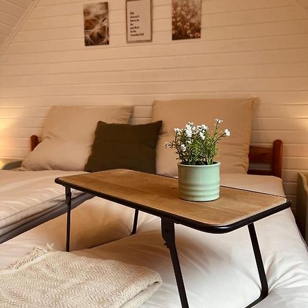 Frieda - Ferienwohnung Mit Deichblick Friedrichskoog Bagian luar foto