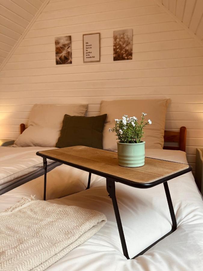 Frieda - Ferienwohnung Mit Deichblick Friedrichskoog Bagian luar foto