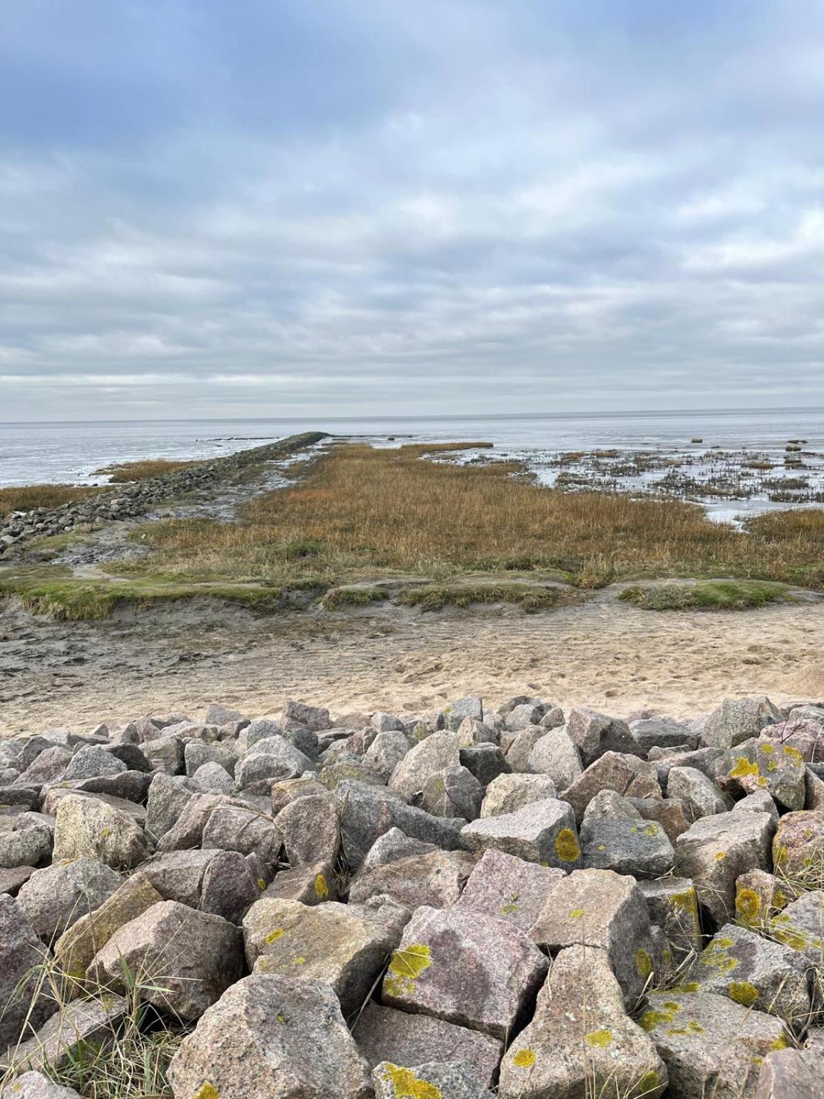 Frieda - Ferienwohnung Mit Deichblick Friedrichskoog Bagian luar foto